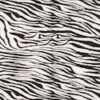 003-Zebra