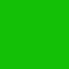 031 Neon Green