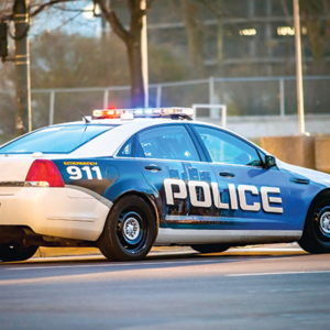 Lumina® by FDC 7304 Print Media: Vehicle Marking-Grade Reflective Film